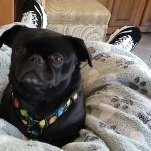 Meet your Posher, Cynthia